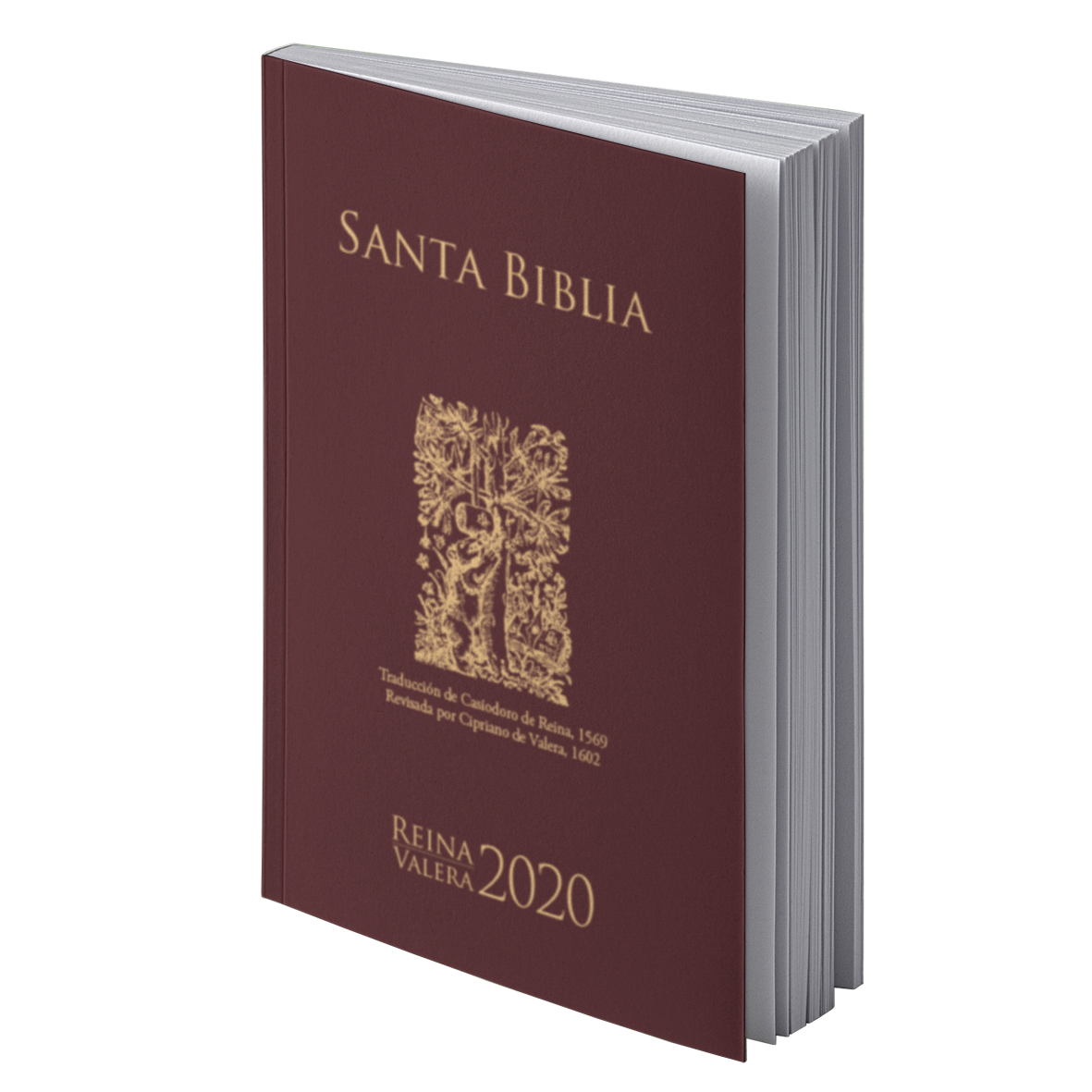 Spanische Bibel -  Reina Valera 2020 Spanische Bibel -  Reina Valera 2020