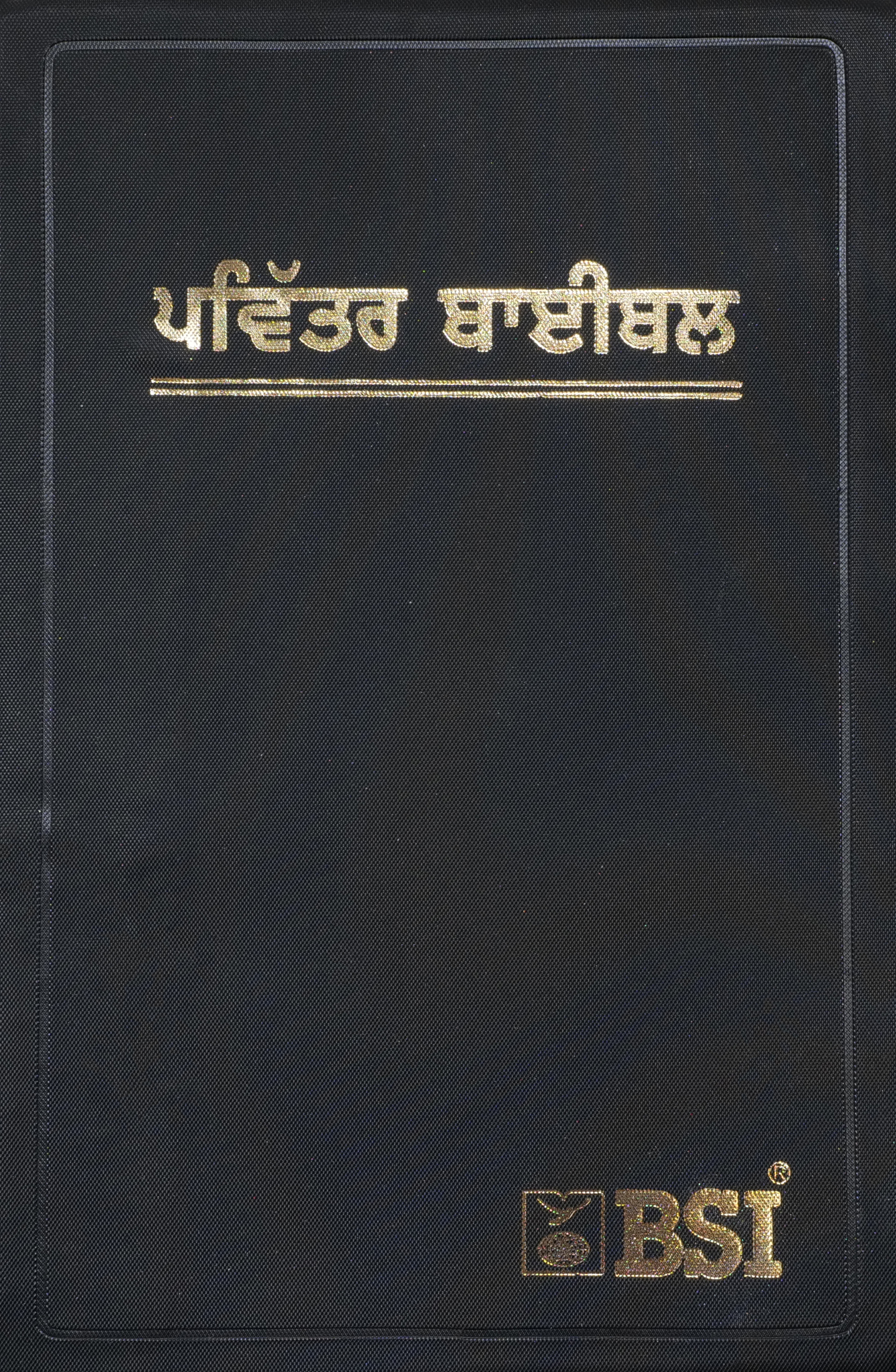 Punjabi Punjabi