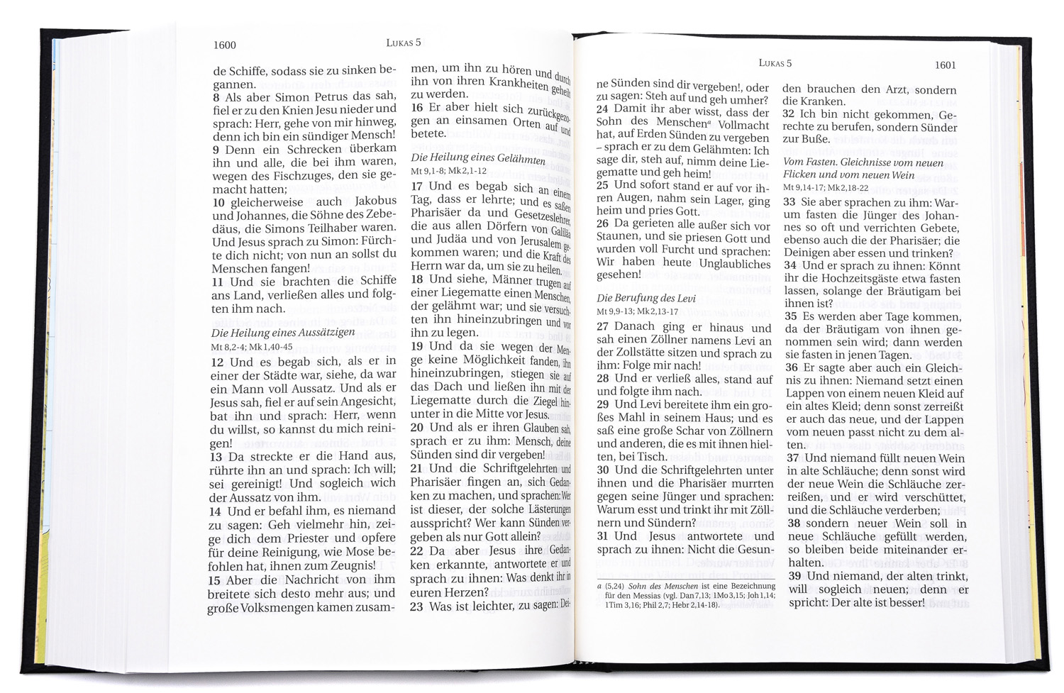 Schlachter-Bibel Standard Großdruck