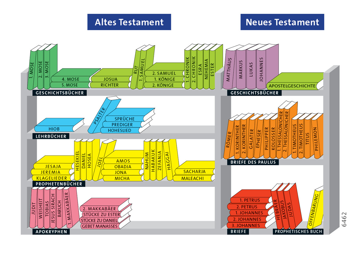 Die Bibel - Eine Bibliothek (30er Set)