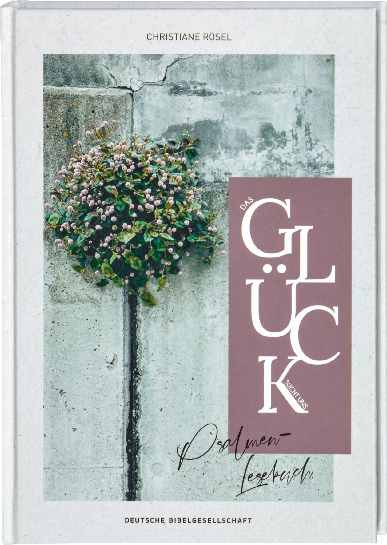 Das Glück sucht uns Das Glück sucht uns