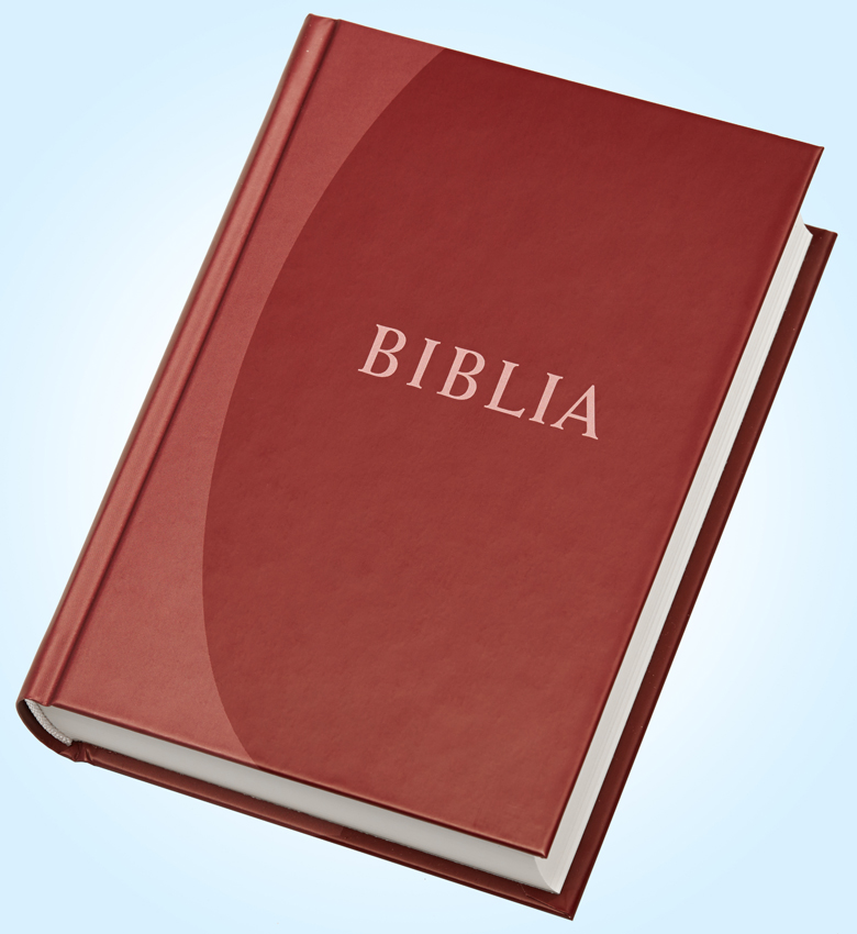 Ungarische Bibel