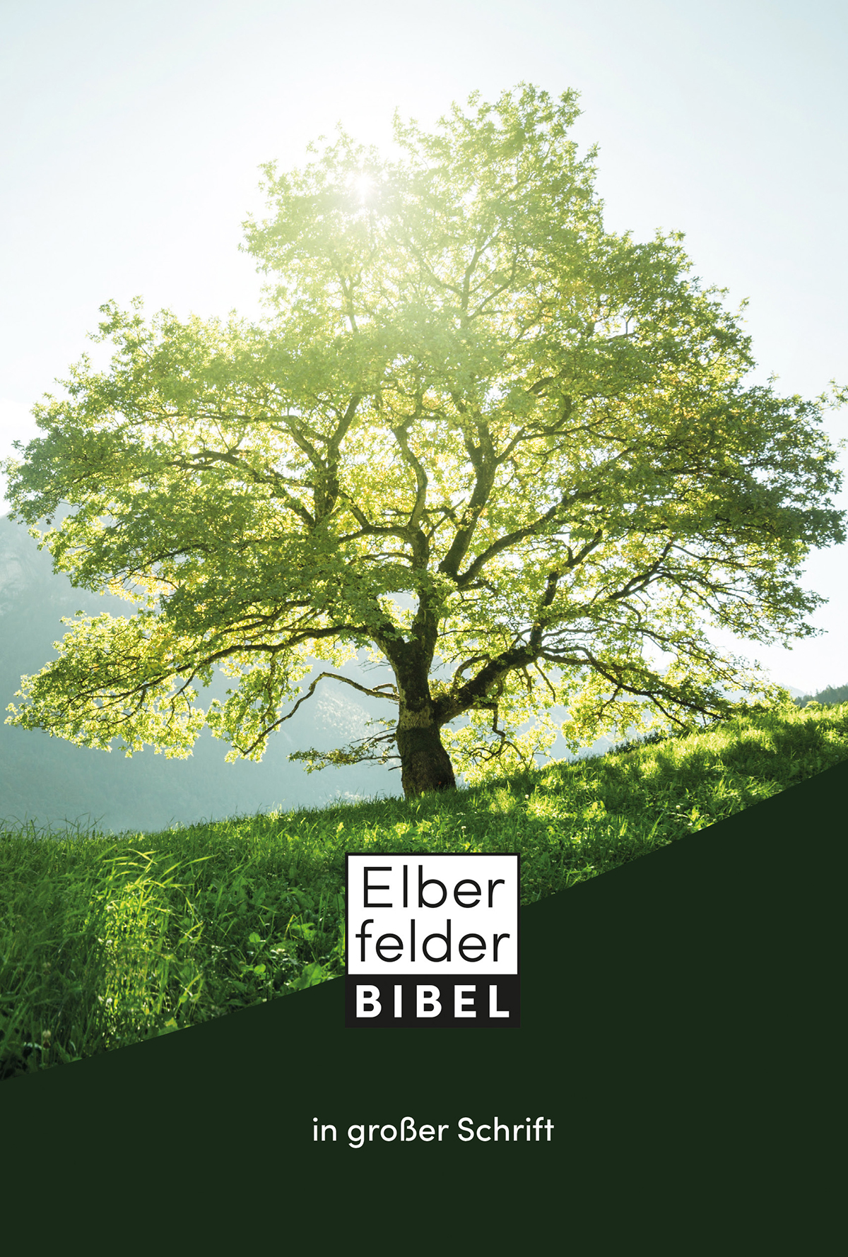 Elberfelder Bibel in großer Schrift Elberfelder Bibel in großer Schrift