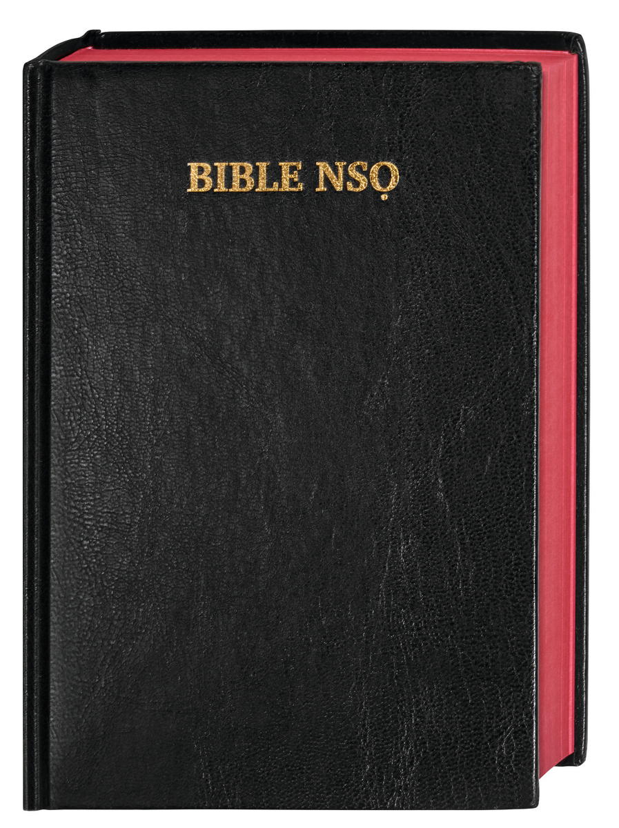 Igbo Bibel