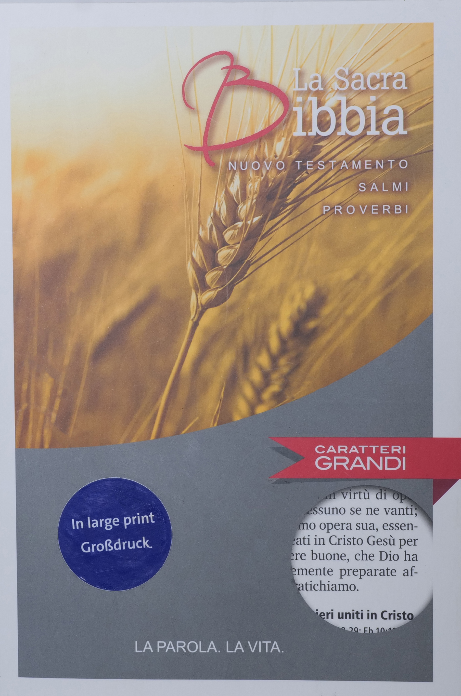 Italienisches Neues Testament mit Psalmen (Großdruck) Italienisches Neues Testament mit Psalmen (Großdruck)