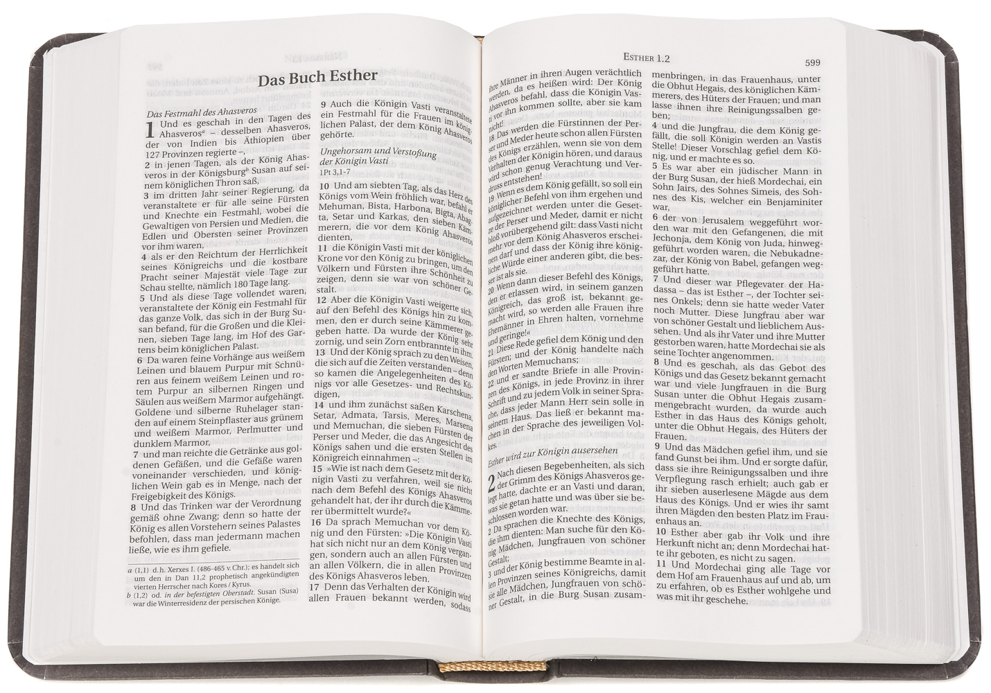 Schlachter-Bibel Miniaturausgabe